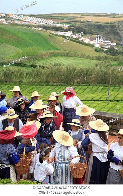 Women workers in Porto Formoso tea gardens with the parish on the background  Sao Miguel, Azores islands, Portugal