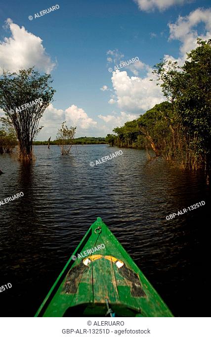 Landscape, Igapós, Cuieiras River, Manaus, Amazônia, Amazonas, Brazil