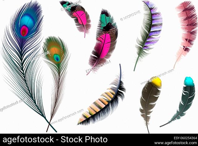 Bright feathers. Neon color decorative feather, peacock accessory. Realistic flying elements isolated vector set. Illustration bird rainbow multicolored