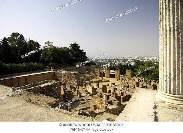 Carthage ruins and column Byrsa Hill Tunisia