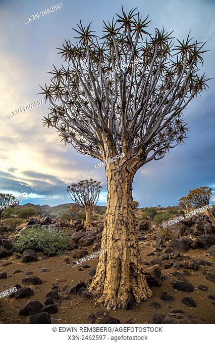 Keetmanshoop, Namibia - Quiver tree forest in the Playground of the Giants