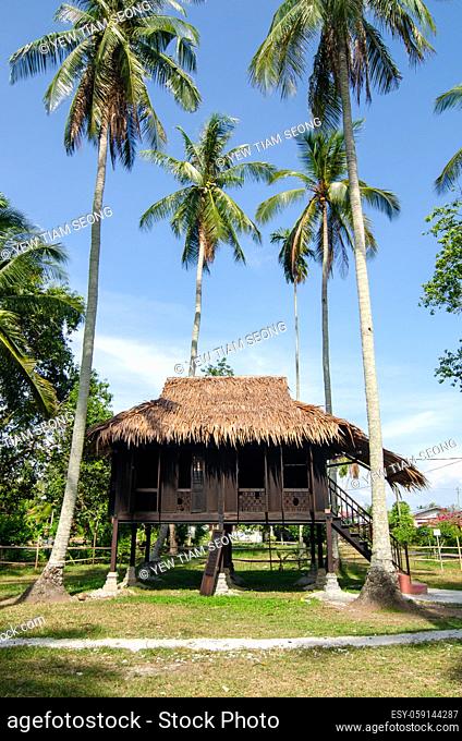 Malays wooden house in coconut farm at Kampung Agong, Penang. Blue sunny sky
