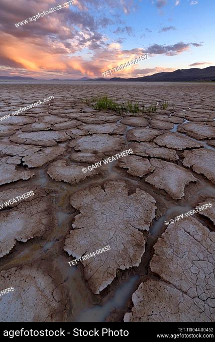 United States, Oregon, Cracked soil in desert at sunset