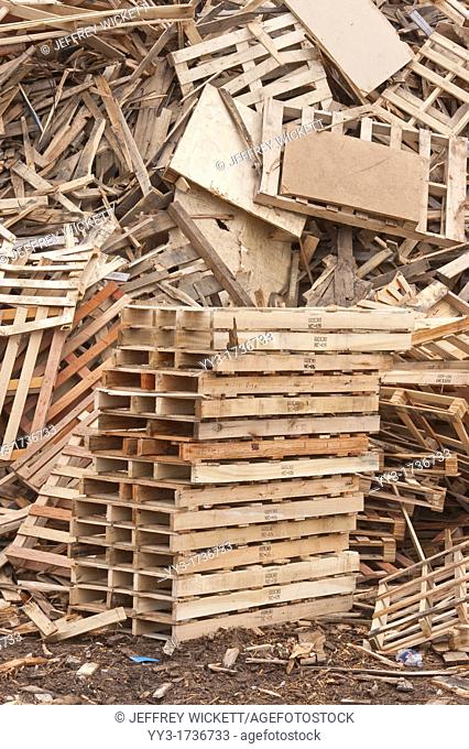 Pile of trashed pallets at recycling business in Michigan, USA
