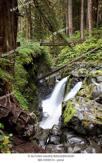 Sol Duc Falls in the Sol Duc River Valley, Sol Duc Valley, Washington, United States