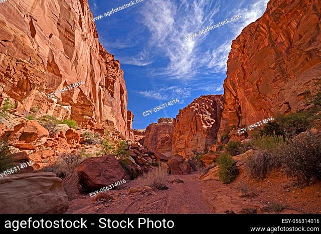 Sun and Shade in a Deep Canyon in Capitol Reef National Park in Utah