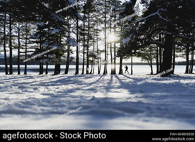 A cross-country skier looms in front of Loch Morlich in the Cairngorms National Park near Glenmore, March 8, 2023. - Glenmore/