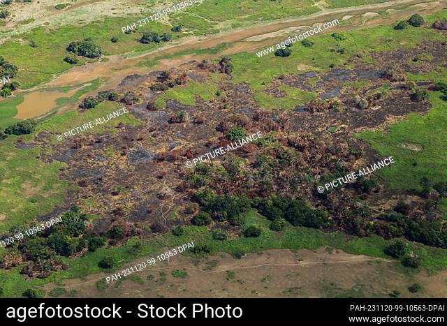 PRODUCTION - 08 November 2023, Brazil, Parintins: View of green, dried and burnt areas in the Amazon region. The green lung of the planet is experiencing an...