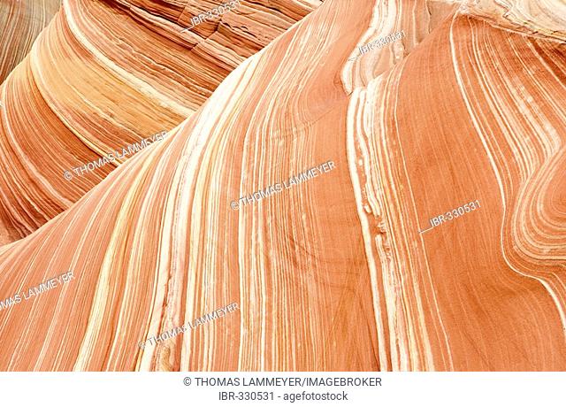 The Wave. North Coyote Buttes. Vermilion Cliffs. Paria Canyon. Arizona. USA