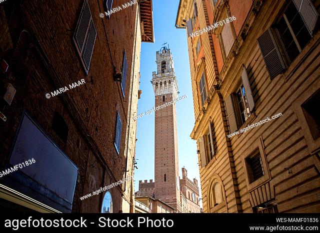 Italy, Tuscany, Siena, View of Torre del Mangia standing between two townhouses