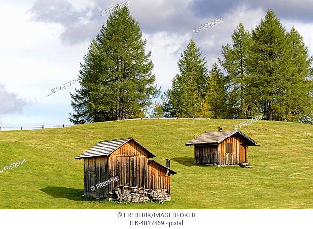 Mountain huts with autumnal Larches (Larix), Rotwandwiesen, Sexten Dolomites, South Tyrol Province, Alto-Adige, Italy