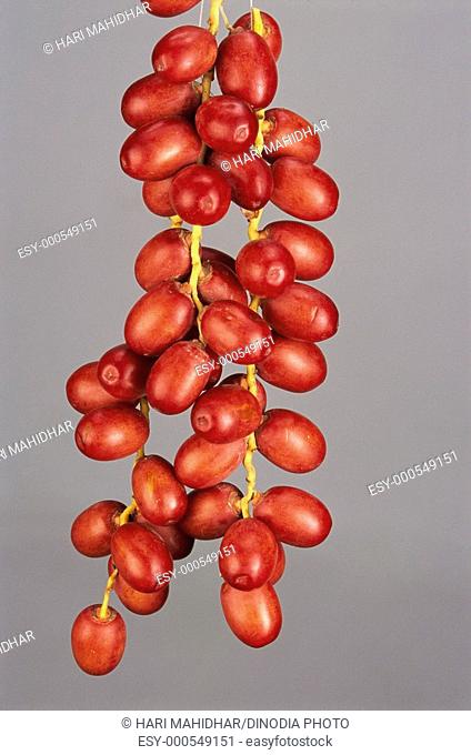 Fruits , khajura bunch of red dates phoenix sylvestris roxb