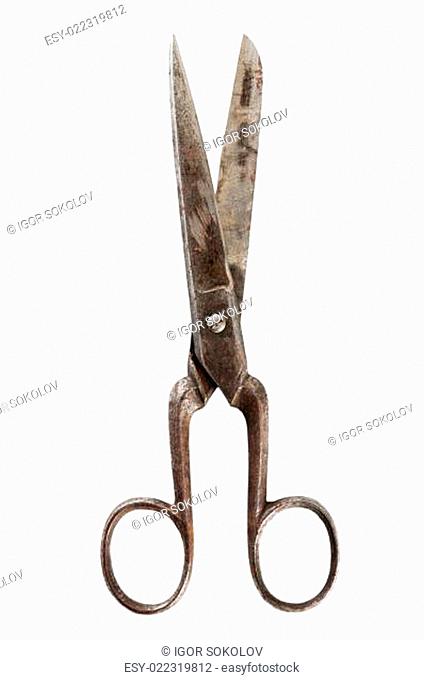 Old fashioned scissors it is isolated on white