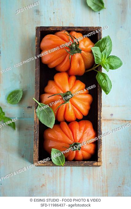 Oxheart tomatoes and basil in a wooden box