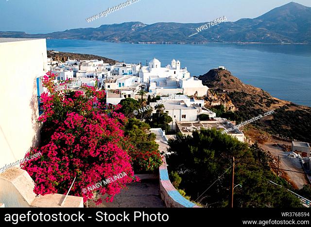 Old white town of Plaka and Milos Bay with colourful bougainvillea, Plaka, Milos, Cyclades, Aegean Sea, Greek Islands, Greece, Europe