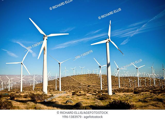 Wind turbines at the San Gorgonio Pass Wind Farm outside Palm Springs, CA