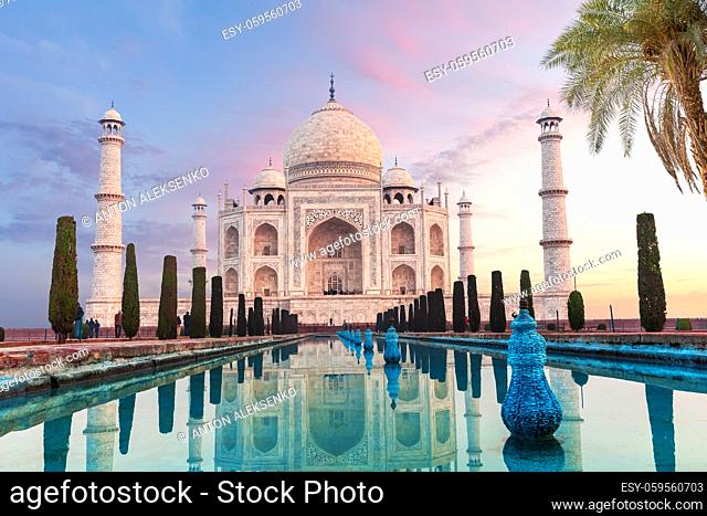 Gorgeous Taj Mahal behind the palm tree, symbol of India, Agra, Uttar Pradesh