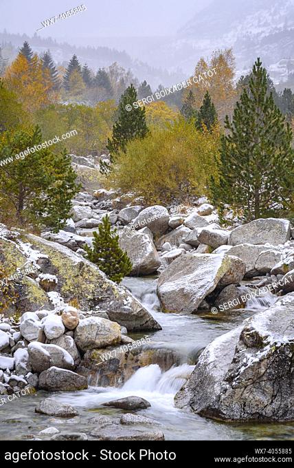 Noguera de Tor River, in the upper part of the Boí Valley, between Caldes de Boí and the Cavallers reservoir on a snowy day in autumn (Boí Valley, Catalonia