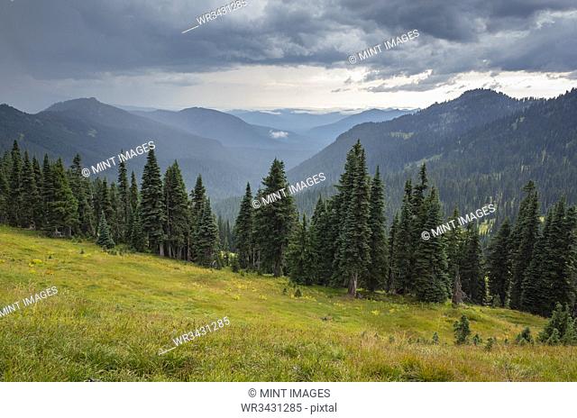 Storm clouds over Goat Rocks Wilderness, lush alpine meadow in foreground, Gifford Pinchot National Forest, Washington