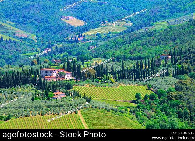 Toskana Weingut - Tuscany vineyard 08