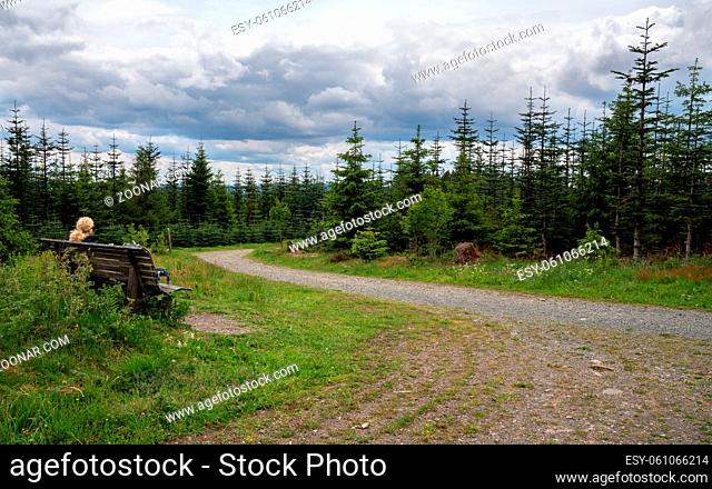 Panoramic image of the Rothaarsteig close to Winterberg, hiking trail through the Sauerland region, Germany
