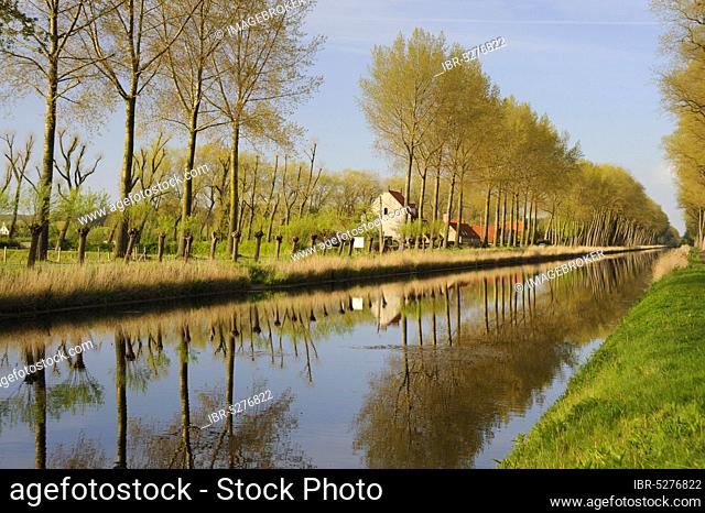 Canal, Damme, West Flanders, Belgium, Flanders, Europe