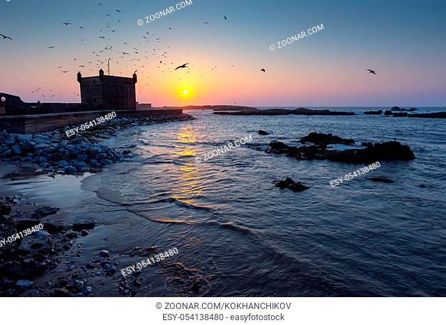 Famous Essaouira fort silhouette with sunset sky background with flying seagulls in Morocco