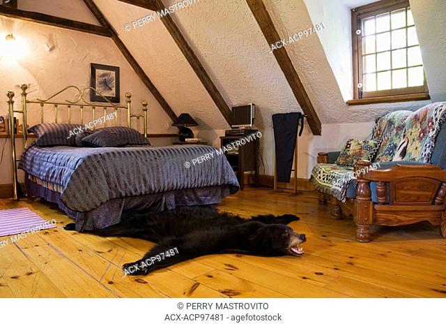 Black bear rug and queen size bed in the master bedroom on the upstairs floor inside a reconstructed (1976) cottage style log home, Quebec, Canada