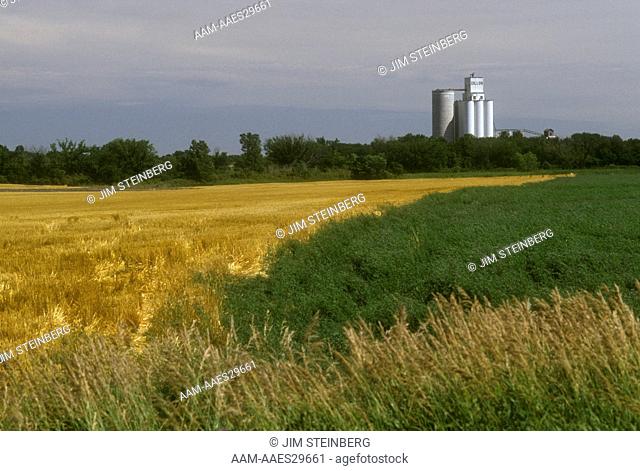 Grain elevators filled by area farmers, shipped to feed lots/flour mills, Dillon, KS, Kansas