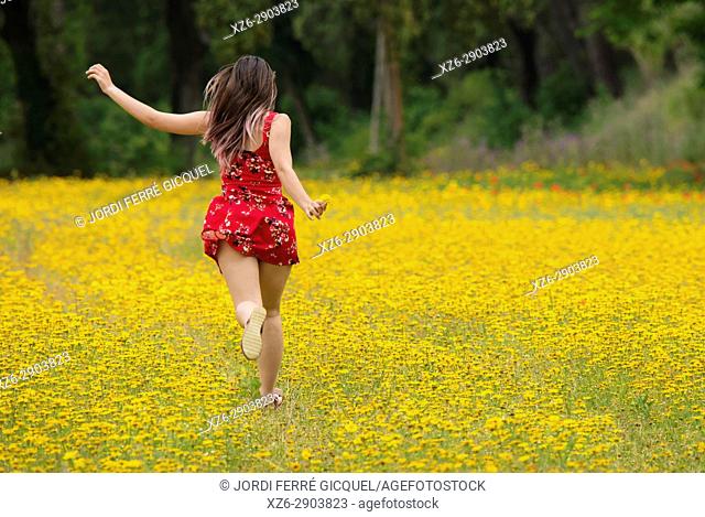 Girl with a red dress running with a dog in a yellow field