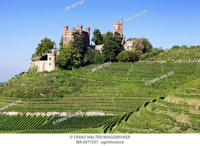 Schloss Ortenberg, in Offenburg, Black Forest, Baden-Württemberg, Germany