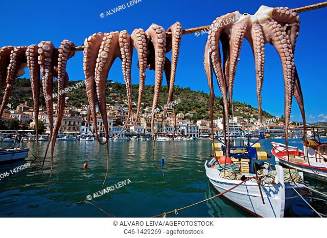 Octopus drying, Gythio  Laconia, Peloponnese  Greece