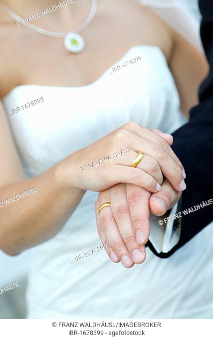 Hands of a bride and groom, wedding rings
