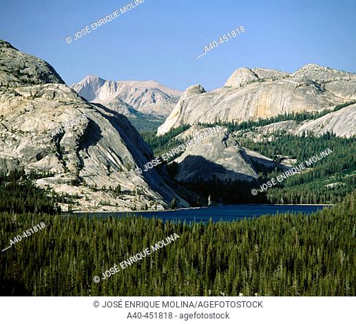 Tenaya Lake. Yosemite NP. California. USA