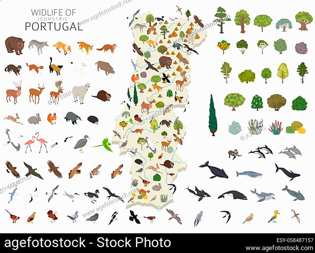 Isometric 3d design of Portugal wildlife. Animals, birds and plants constructor elements isolated on white set. Build your own geography infographics collection