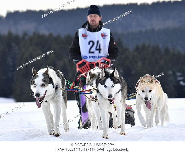 14 February 2019, Thuringia, Neustadt am Rennsteig: Marko Klemkow from Germany is heading towards the finish line in the 6th run of the Trans Thüringia sled dog...