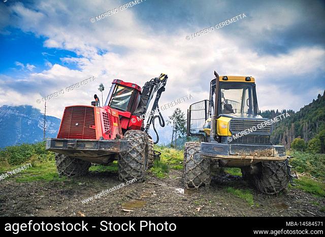 Italy, Veneto, provnce of Belluno, Dolomites. Harvester and Forwarder forestry vehicle in a forest hit by the storm Vaia