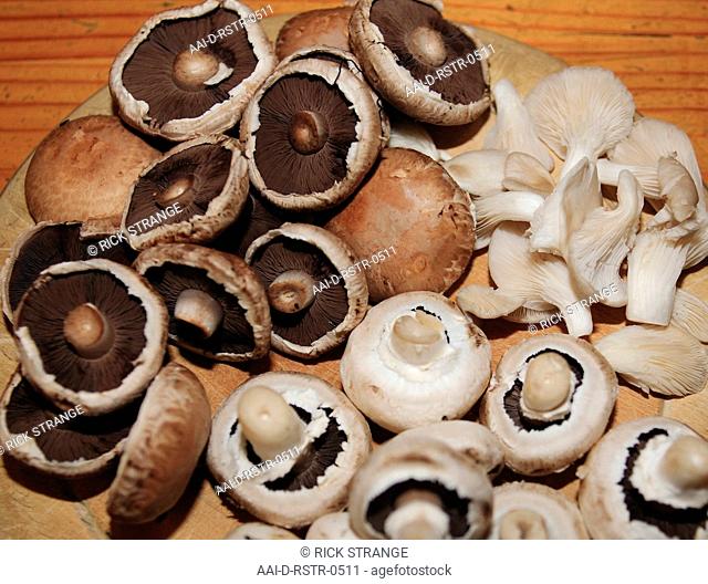 Mushrooms, UK