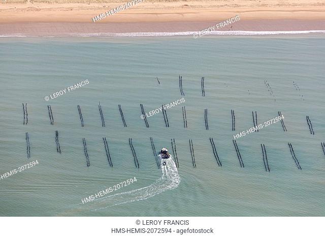 France, Vendee, La Faute sur Mer, mussel boat in a mussel poles field near the beach (aerial view)