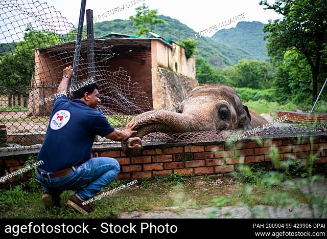 dpatop - 04 September 2020, Pakistan, Islamabad: Amir Khalil, veterinarian of the animal welfare organisation Four Paws, welcomes the elephant named Kaavan at...