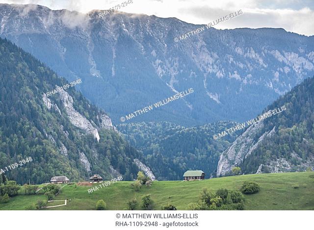 Romanian landscape in the Carpathian Mountains near Bran Castle at Pestera, Transylvania, Romania, Europe