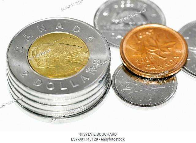 Canadian polar bear coins