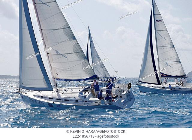 Sailboat regattas  British Virgin Islands
