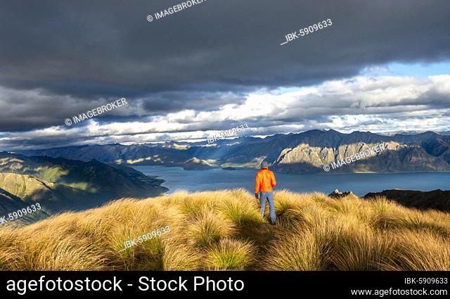 Hiker looks into the distance, view of Lake Hawea in the evening light, lake and mountain landscape, view from Isthmus Peak, Wanaka, Otago, South Island