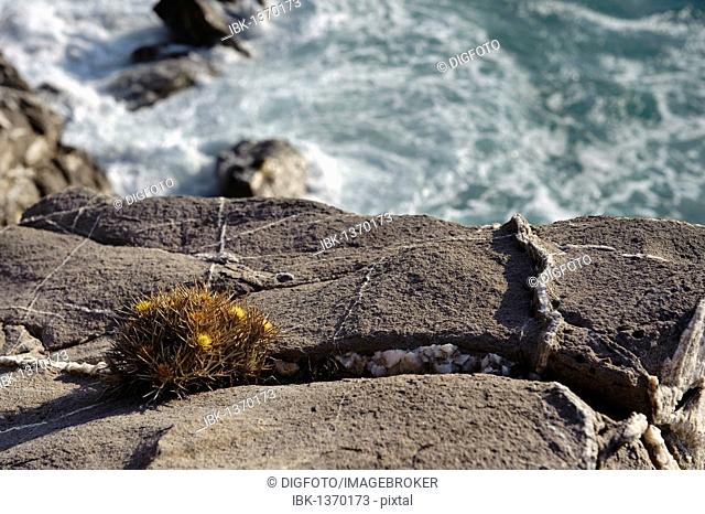 Rocks on the west coast, island of Karpathos, Aegean Islands, Dodecanese, Aegean Sea, Greece, Europe