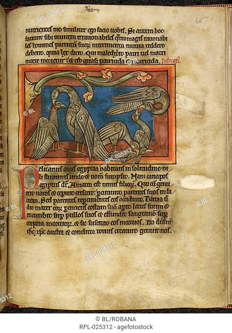 Pelicans in piety, Whole folio Pelicans in their piety mourn the disobedient offspring which they have killed and sprinkle them with their own blood to restore...