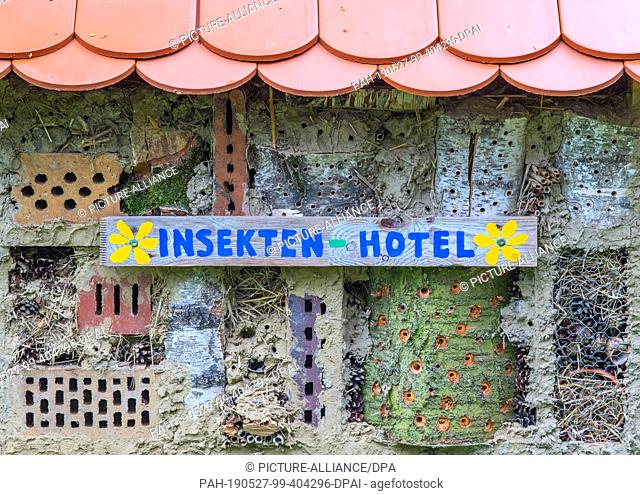 22 May 2019, Brandenburg, Sieversdorf: A self-built insect hotel in a baleen. Photo: Patrick Pleul/dpa-Zentralbild/ZB. - Sieversdorf/Brandenburg/Germany