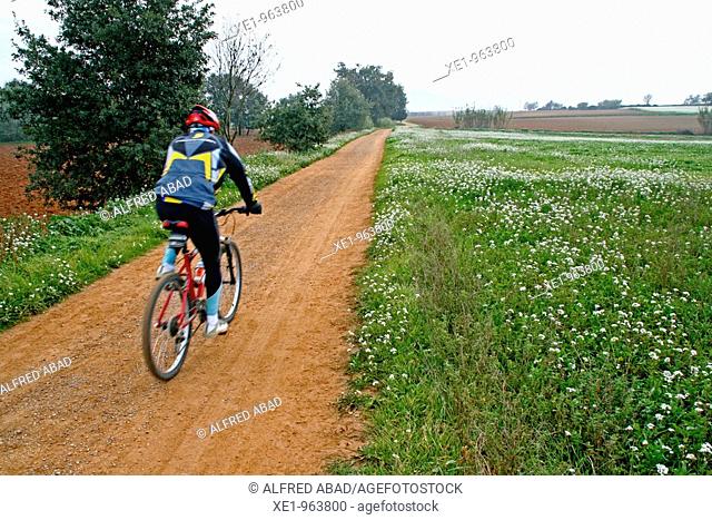 cyclist, agronatural space of Gallecs, Mollet del Valles, Catalonia, Spain