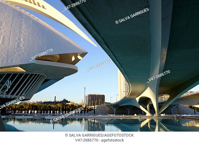 Bridge of Monteolivete (Pont de les Arts) and Opera House Rina Sofia, the City of arts and sciences, Valencia, Spain