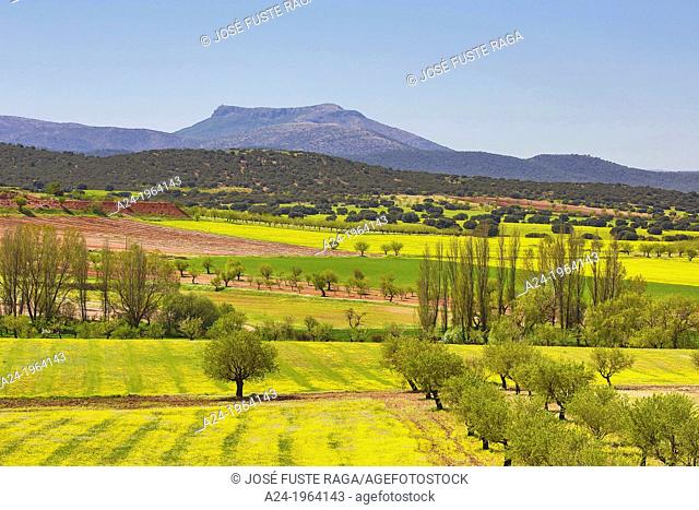Spain , Andalucia Region, Almeria Province,